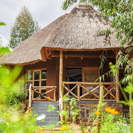 Rutete Eco Lodge Rwinkwavu Exteriör bild