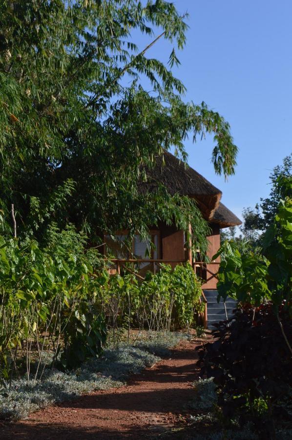 Rutete Eco Lodge Rwinkwavu Exteriör bild