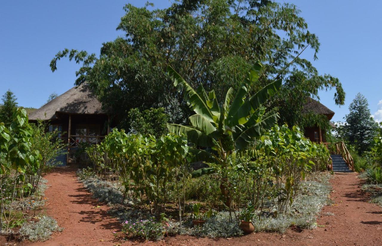Rutete Eco Lodge Rwinkwavu Exteriör bild