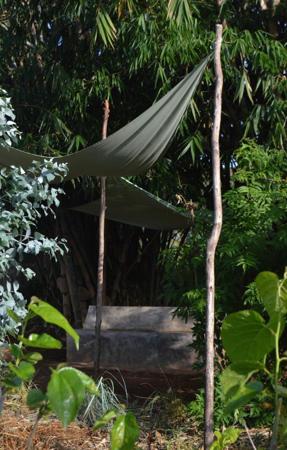 Rutete Eco Lodge Rwinkwavu Exteriör bild