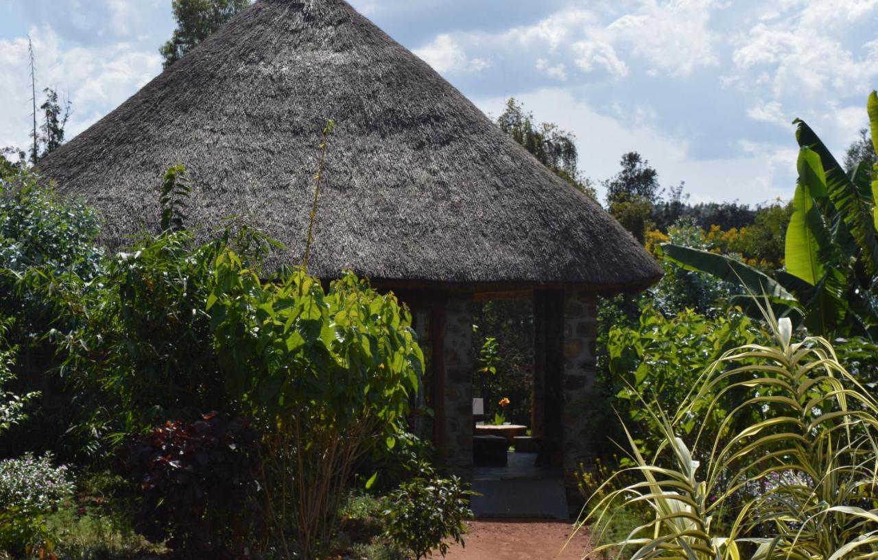 Rutete Eco Lodge Rwinkwavu Exteriör bild