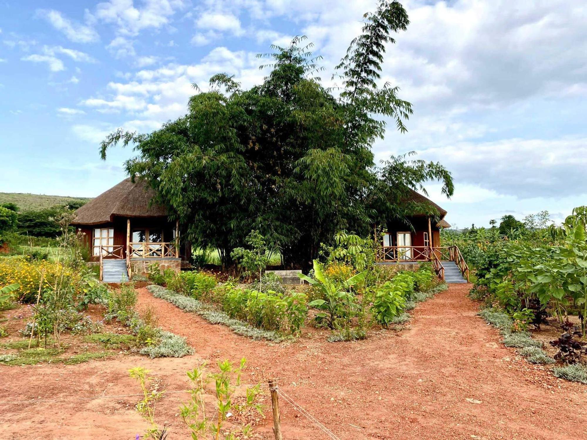 Rutete Eco Lodge Rwinkwavu Exteriör bild